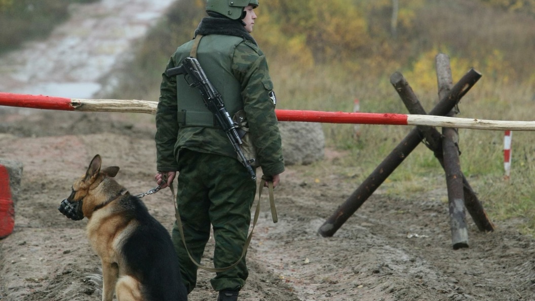 Фото пограничников с собакой на границе