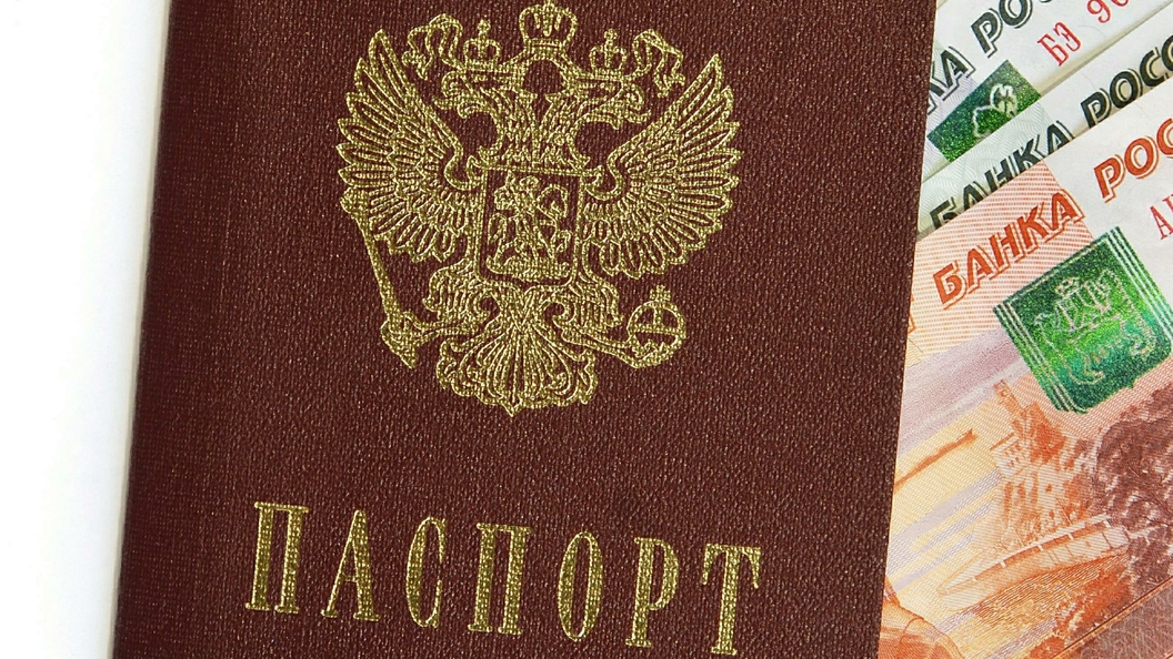 Все реально: Госдума прокомментировала идею об отмене паспортов Все реально: Госдума прокомментировала идею об отмене паспортов