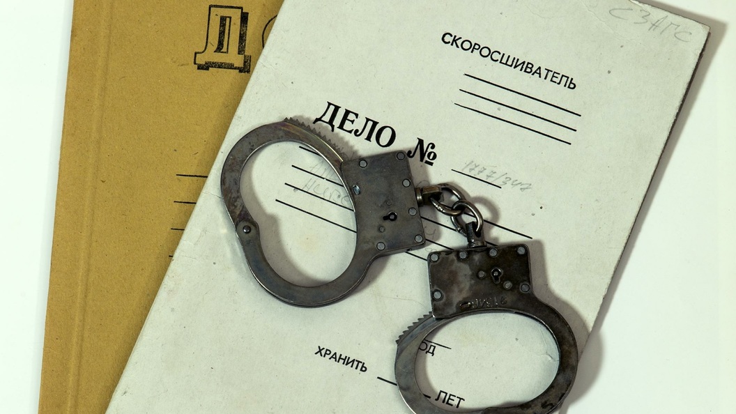 Напавший на журналистку Фельгенгауэр проведет Новый год под арестом Напавший на журналистку Фельгенгауэр проведет Новый год под арестом