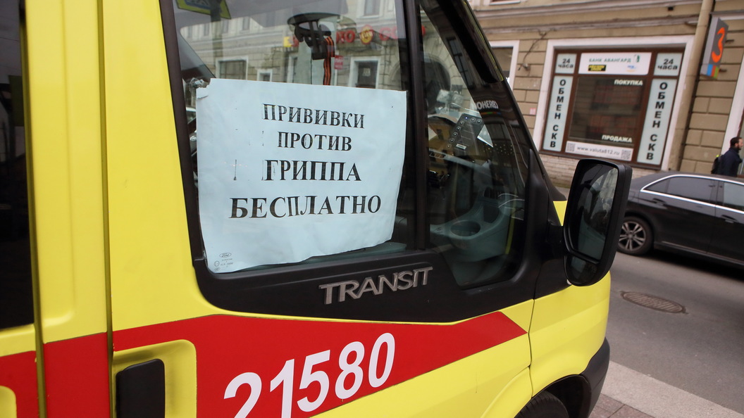 Ученые узнали, какой цвет может помочь в лечении гриппа Ученые узнали, какой цвет может помочь в лечении гриппа