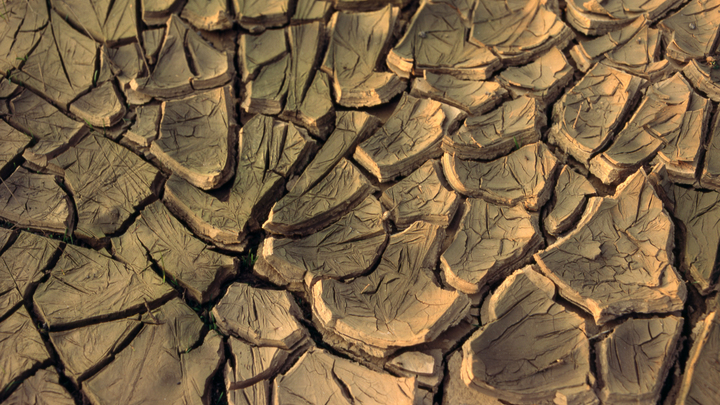 Аномальные потопы и засуха неизбежны: учёные предупредили о необратимых катастрофах из-за климата