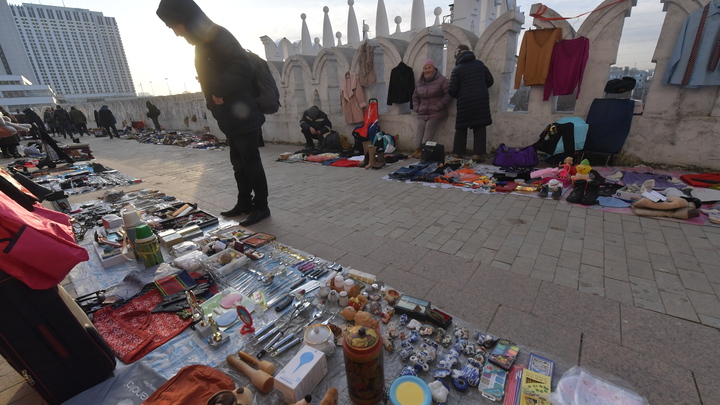 В Самаре прокуратура установила нарушения в работе птичьего рынка
