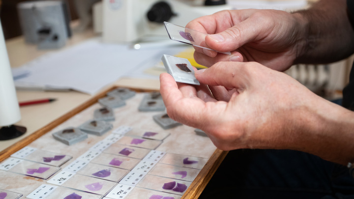 Смертей станет меньше: Испанские учёные раскрыли секрет особенности коронавируса