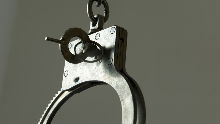 Дарье Треповой предъявлено обвинение