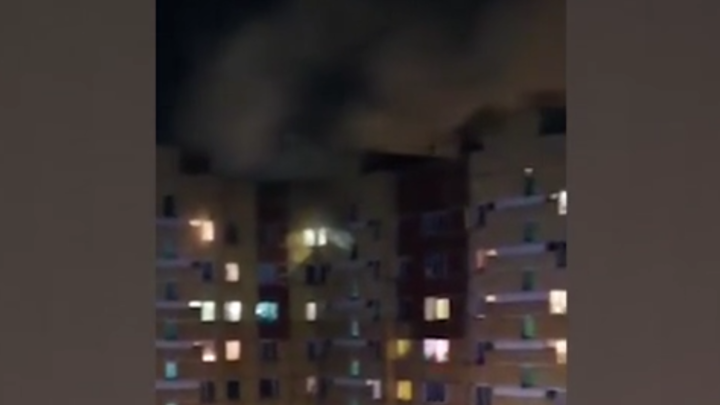 Заводчица держала всех в одной комнате: 17 щенков и 9 собак сгорели заживо в Петербурге