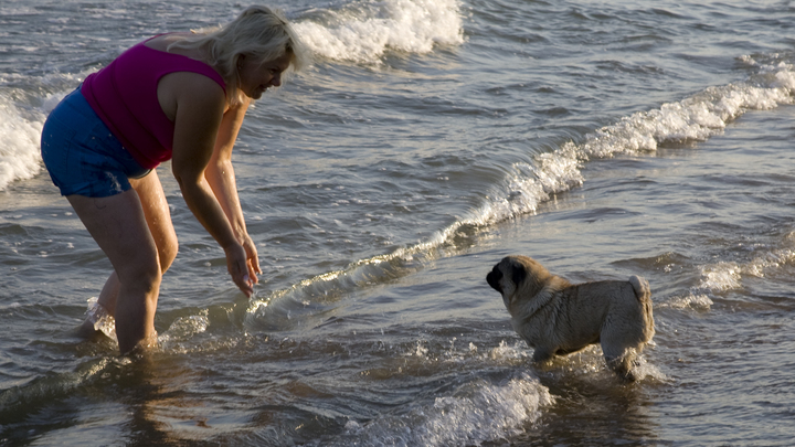 В Анапе запретили купаться на всех пляжах из-за шторма и донного течения