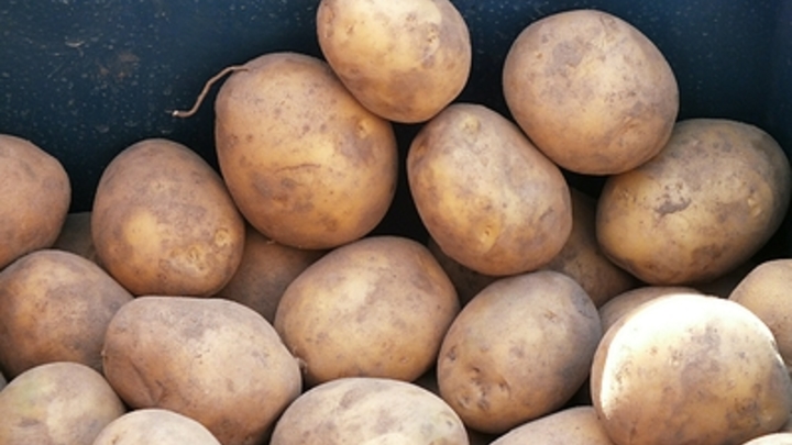 Почистить картошку можно без ножа. Уйдёт три минуты