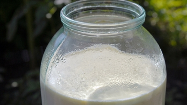Россельхознадзор предложил белорусам мастер-класс на границе по определению фальсификата молока