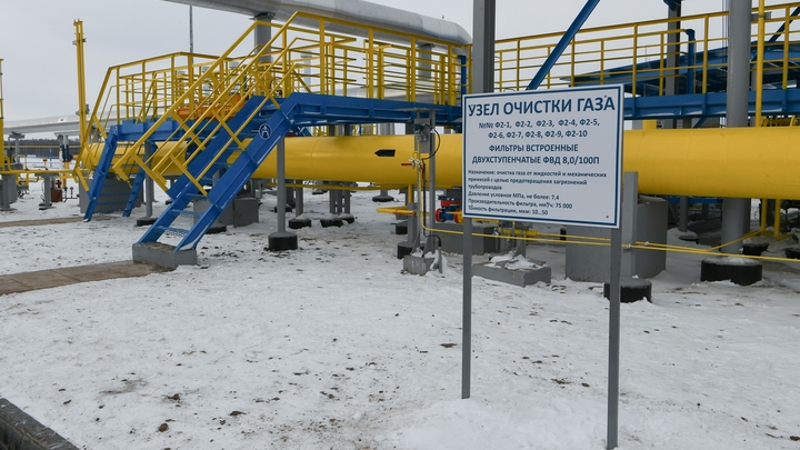 Газовую отрасль Российской Федерации создали украинцы — прежний премьер Украины