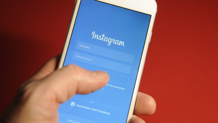 Сахалинский губернатор раздает щенков акита-ину через Instagram