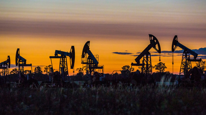 Геннадий Шмаль: Спасти четырех китов нефтегаза