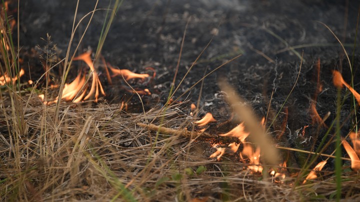 В Туапсинском районе после салюта загорелся лес