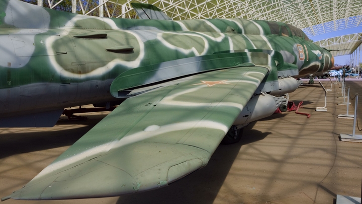«Из боевых машин в «Патриоте» сделают чучела»: Эксперты опасаются, что легендарные самолеты не переживут переезд из Монина