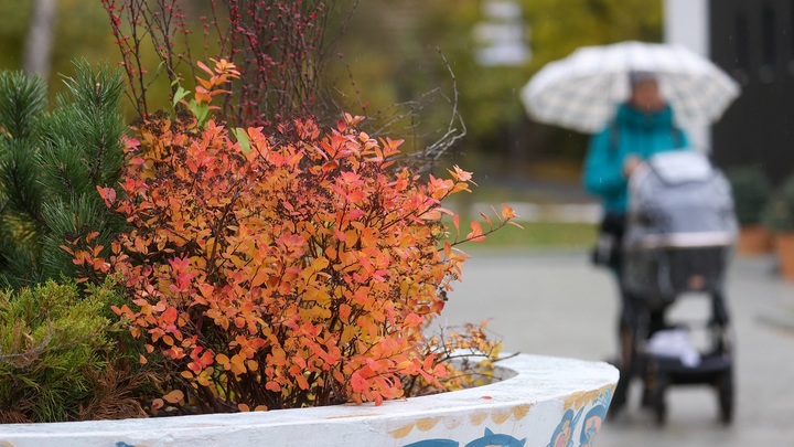 Закон об оскорблении чувств женщин: Политолог разоблачил нелепый жест в сторону Запада