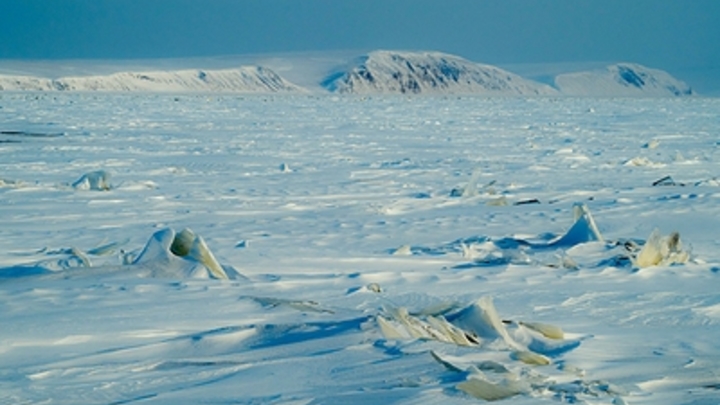 Ударился о снежный бугор: Военный аргентинский самолет сделал экстренную посадку в Антарктиде