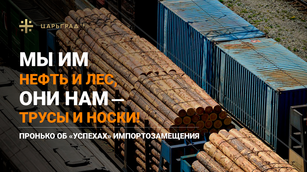 Мы им нефть и лес, они нам трусы и носки! Пронько об успехах импортозамещения
