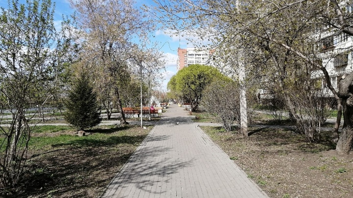 В Челябинске во дворах к людям цепляются клещи