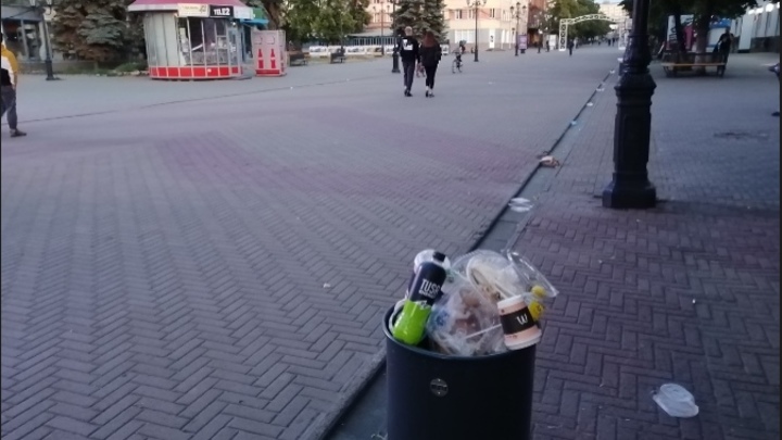 Наталья Котова призвала общепит поставить дополнительные урны на Кировке