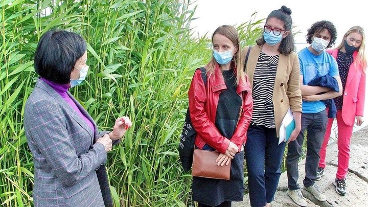 В Челябинске на озере Смолино вместо камыша появится набережная