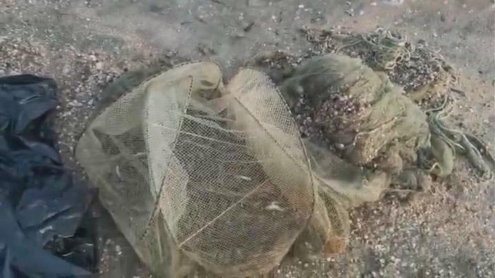 В Темрюке браконьер наловил креветок на 600 тысяч рублей