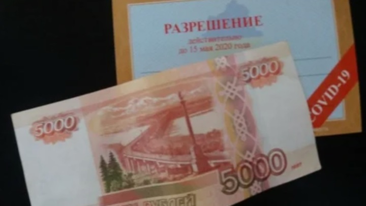 Ростовчанина, продававшего спецпропуска в разгар пандемии, приговорили к реальному сроку