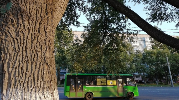 Очевидцы сказали спасибо мужчине, который ударил чужого ребенка в автобусе в Копейске