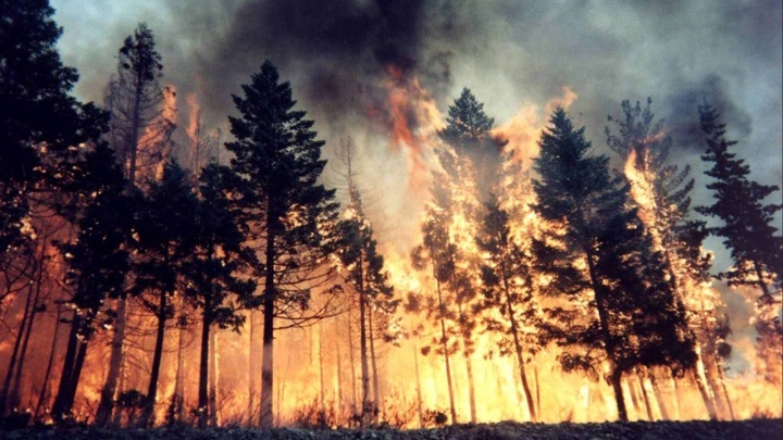 Названы причины крупных пожаров в Ростовской области