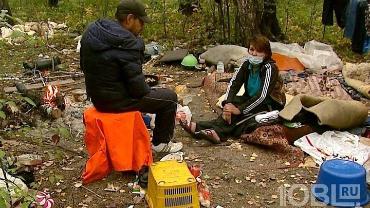 В Челябинске в лесу живет беременная бездомная