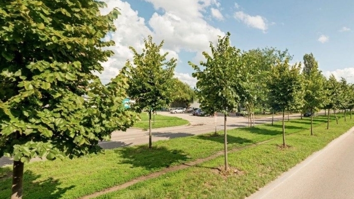В Музыкальном микрорайоне Краснодара построят новую аллею