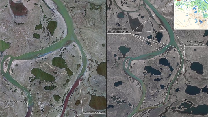 Отдать под суд водоросли и вечную мерзлоту? В России назвали виновников экокатастроф