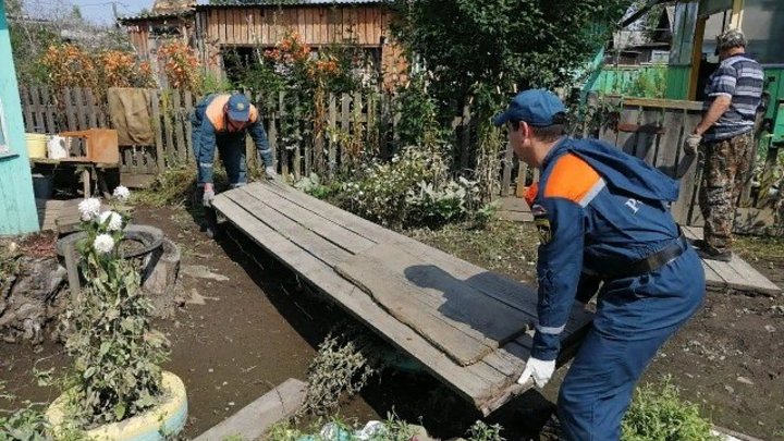 Клумбы из г... Мэр Красноярска показал рабочий чат. Без крепких слов город не благоустроить?