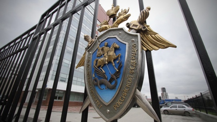 Новосибирского риэлтора приговорили к 9 годам колонии за обман 100 дольщиков
