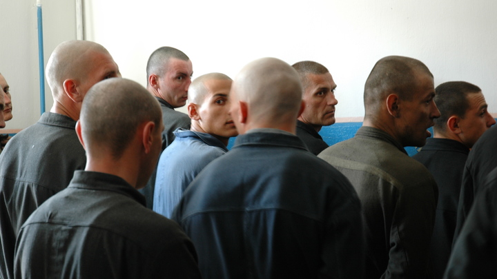Из-за убийства заключённого в Новосибирской области заведено уголовное дело