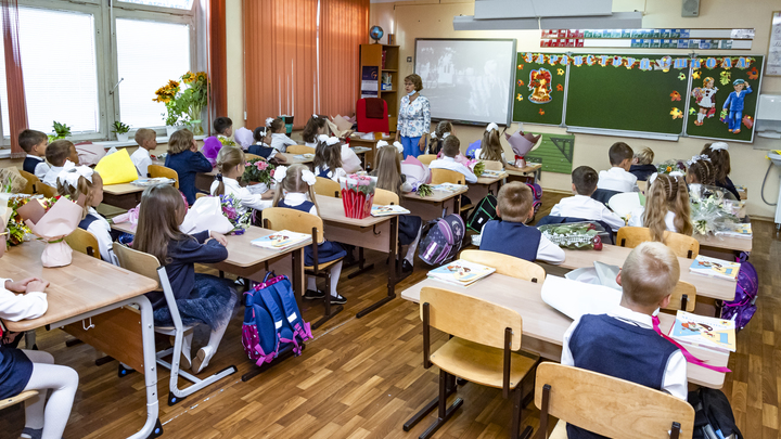 Как будет организовано дистанционное обучение в новосибирских школах после каникул