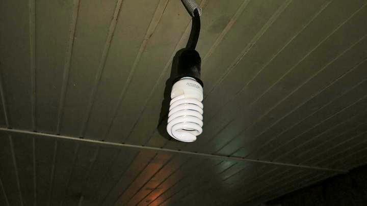 1 декабря по всему Кургану отключат свет