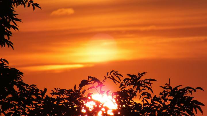 Попытка заглянуть в будущее обернётся бедой: Народные приметы 20 мая - чего нельзя делать в этот день