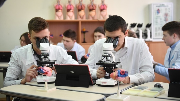 Учёные в Новосибирске разработали новый препарат от болезни Паркинсона