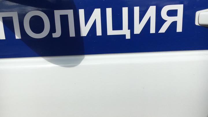 В Новосибирске полиция нашла подростков, подозреваемых в избиении 13-летнего школьника