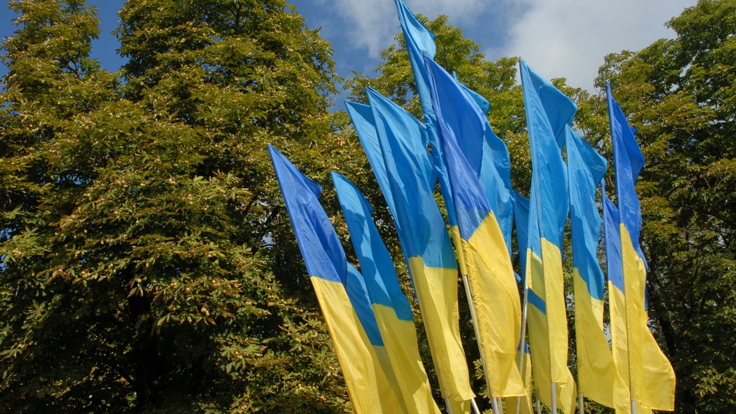 ЕС объяснил временные торговые преференции для Украины тяжелым положением в стране ЕС объяснил временные торговые преференции для Украины тяжелым положением в стране