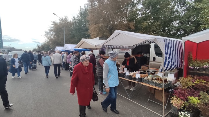 В Новосибирске откроется постоянная социальная ярмарка