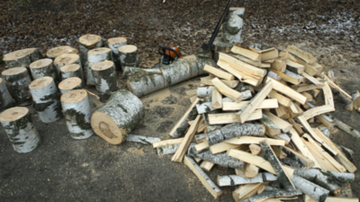 Германии придётся перейти на дрова: Focus дал неутешительный прогноз Берлину