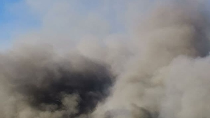 На Ямале бушуют природные пожары