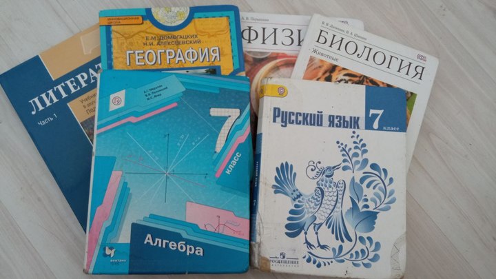 В Ростовской области зимние школьные каникулы продлили до 15 января