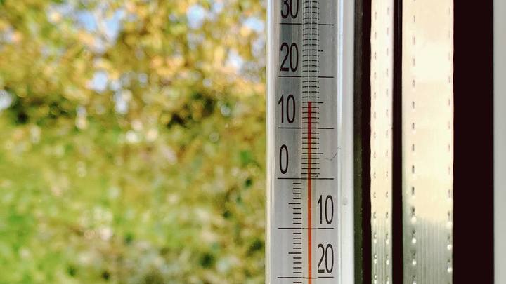 В Самарскую область придёт потепление В Самарскую область придёт потепление