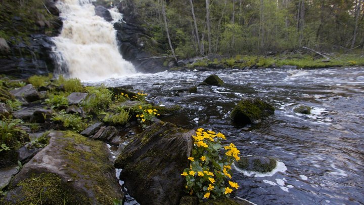 Кристально чистый звук: на Глубокинском водопаде появился быстрый интернет и устойчивая связь