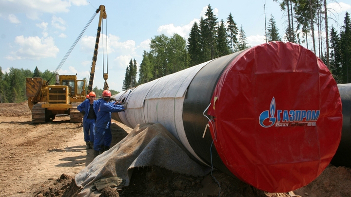 Газпромна три дня полностью остановит Северный поток