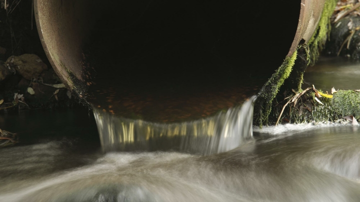 Суд обязал «Водоканал» Сочи выплатить более 5 млн рублей за вред акватории Черного моря