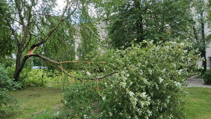 В Сочи объявлено экстренное предупреждение из-за сильных дождей и шквалистого ветра