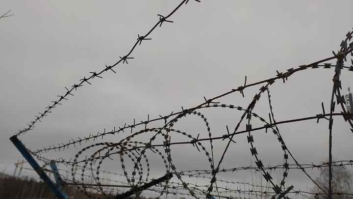 Из Крыма в колонию: Матроса осудили на год за призывы к расправе над русскими солдатами