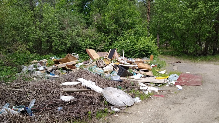 Во Владимирской области прокуратура объявила войну стихийным свалкам